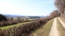 De Combe Auchy au Tremblais